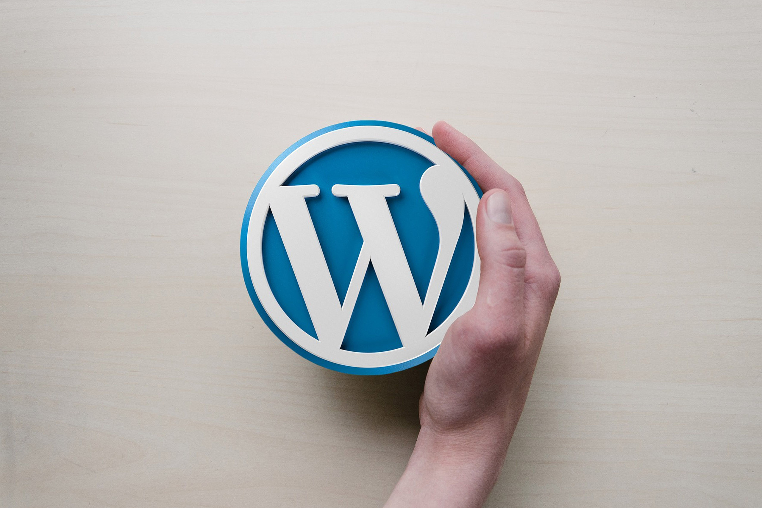 The Future Of WordPress